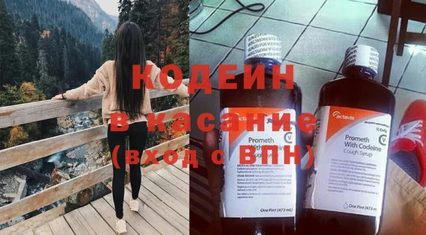 apvp Бородино