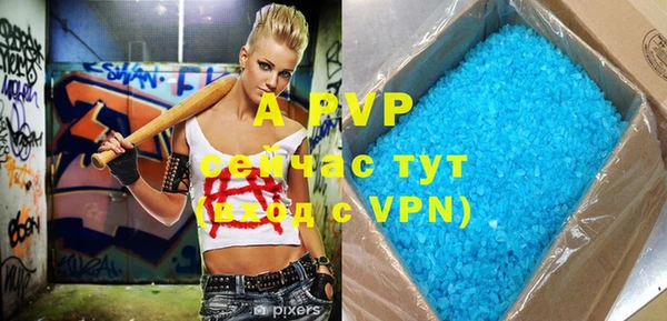 apvp Бородино