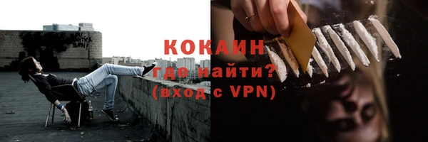 apvp Бородино