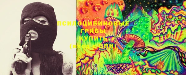 apvp Бородино