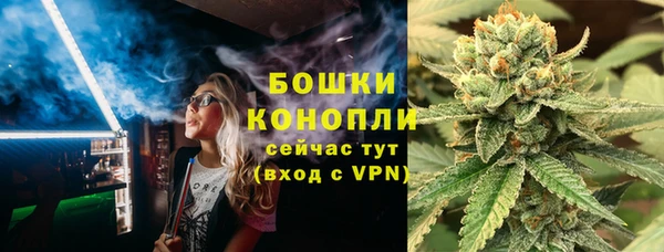 apvp Бородино