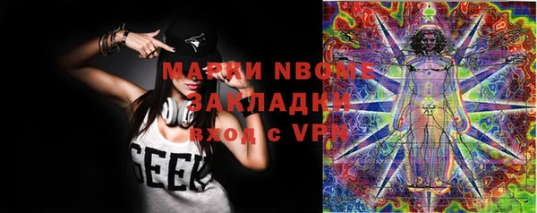 apvp Бородино