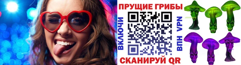 Псилоцибиновые грибы Magic Shrooms  Вологда 